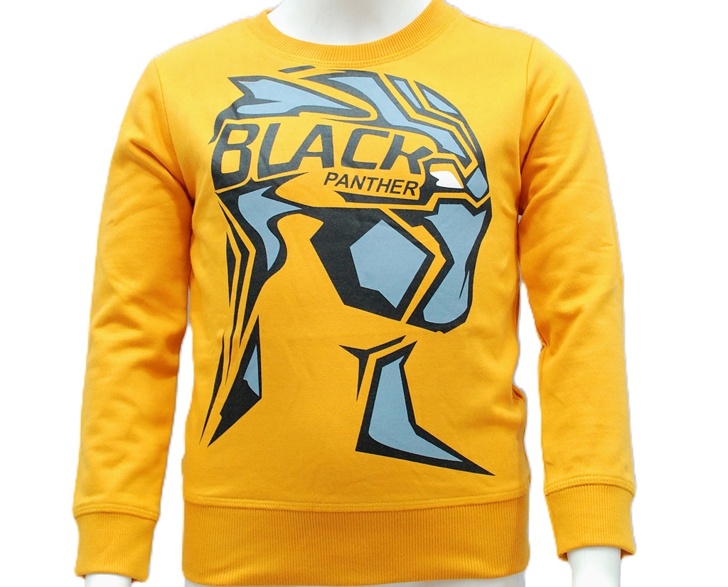 BOYS SWEATSHIRT